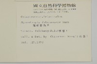 福建賽衛矛、福建假衛矛藏品圖，第2張