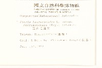 玉山毛蓮菜藏品圖，第2張