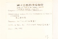 高山破傘菊藏品圖，第2張