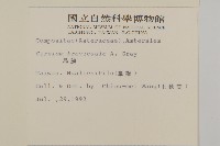 鱗毛薊藏品圖，第2張