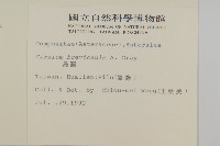 鱗毛薊藏品圖，第2張