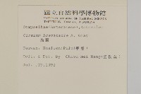 鱗毛薊藏品圖，第2張