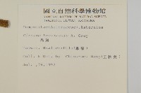 鱗毛薊藏品圖，第2張