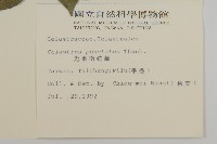 光果南蛇藤藏品圖，第2張