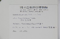 早田氏冬青藏品圖，第2張