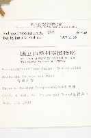 山芥菜藏品圖，第2張