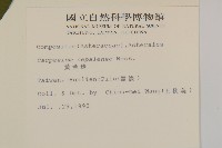 黃金珠藏品圖，第2張