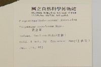 黃金珠藏品圖，第2張