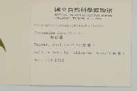 狗筋蔓藏品圖，第2張