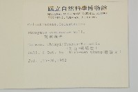 刺果衛矛藏品圖，第2張