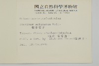 刺果衛矛藏品圖，第2張