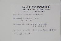 臺灣小蘗藏品圖，第2張