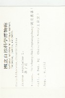 單子瓜、星瓜、刺果瓜藏品圖，第2張