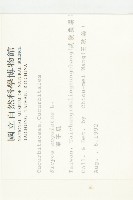 單子瓜、星瓜、刺果瓜藏品圖，第2張