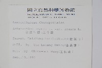 印度牛膝、土牛藤藏品圖，第2張