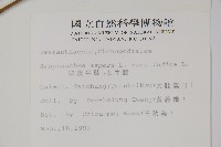 印度牛膝、土牛藤藏品圖，第2張