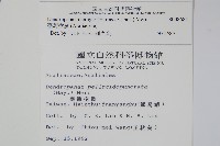 臺灣樹參藏品圖，第2張