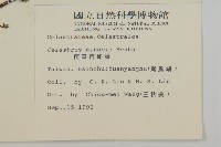 南華南蛇藤，青江藤藏品圖，第2張