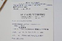 臺灣樹參藏品圖，第2張