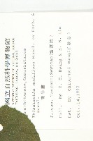 青牛膽藏品圖，第2張