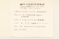 臺灣澤蘭藏品圖，第2張