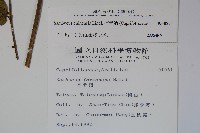 冇骨消藏品圖，第2張