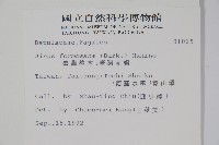 臺灣赤楊、臺灣榿木藏品圖，第2張