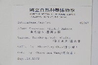 臺灣赤楊、臺灣榿木藏品圖，第2張