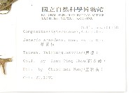 蔓黃菀藏品圖，第2張