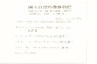 蔓黃菀藏品圖，第2張