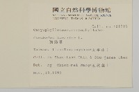 狗筋蔓藏品圖，第2張