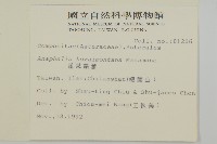 蓬萊籟簫藏品圖，第5張