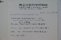 狹葉莢迷藏品圖，第2張