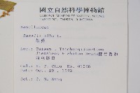 落葵藏品圖，第2張