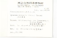 白花牽牛藏品圖，第2張