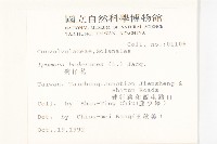 碗仔花藏品圖，第2張