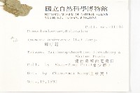 碗仔花藏品圖，第2張