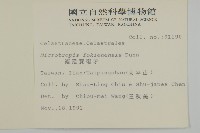 福建賽衛矛、福建假衛矛藏品圖，第2張