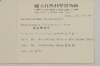 福建賽衛矛、福建假衛矛藏品圖，第2張