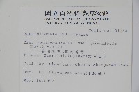 雲南冬青藏品圖，第2張