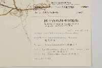 玉山抱莖籟簫藏品圖，第2張