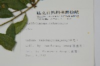 登錄號:S009066藏品圖，第2張