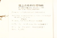 一枝黃花藏品圖，第2張