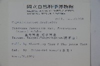 紅子莢迷藏品圖，第2張