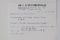 紅樓花藏品圖，第2張