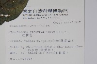 紅樓花藏品圖，第2張