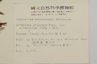 登錄號:S009114藏品圖，第2張