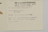 珠砂根藏品圖，第2張