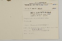 卷耳藏品圖，第2張