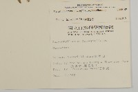 卷耳藏品圖，第2張